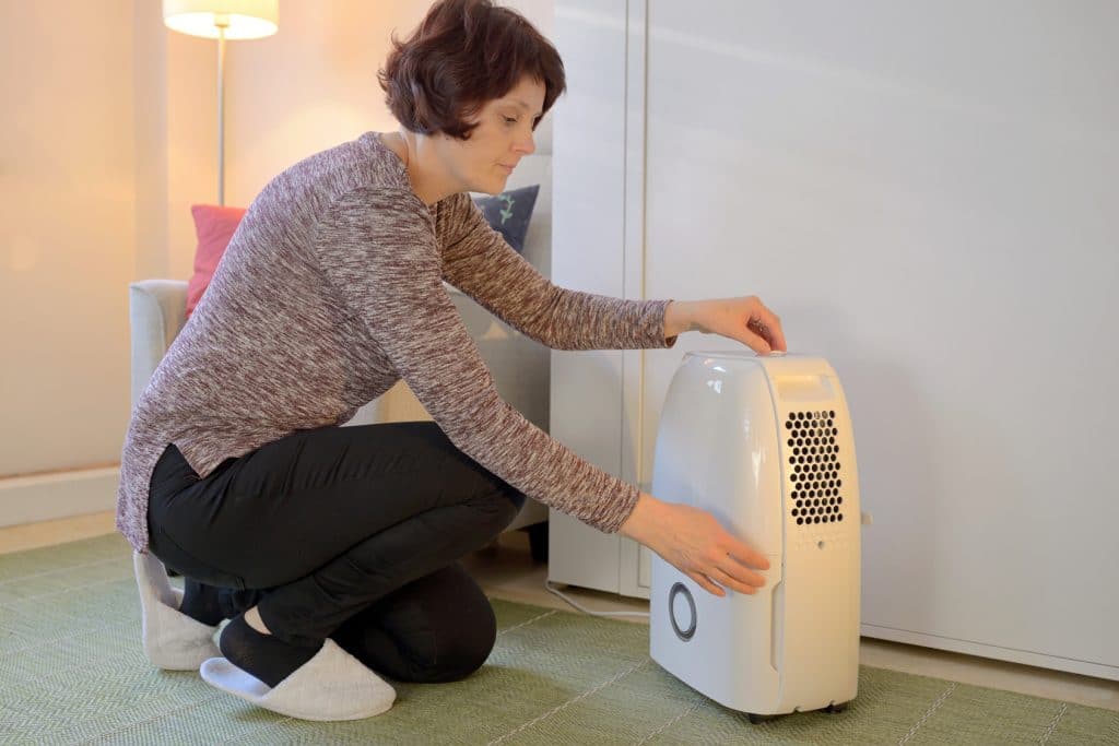Can a Dehumidifier Kill Mold?