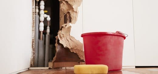Water Damage Removal ServiceMaster By Alpha Restoration