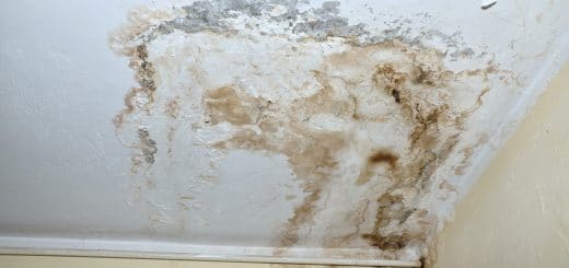 White-Mold-on-Ceiling