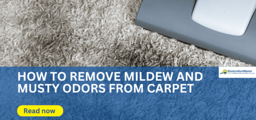 Mold and Mildew Removal from Carpet - RestorationMaster