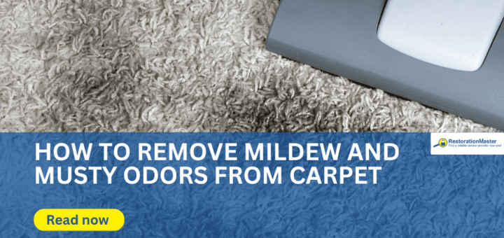 Mold and Mildew Removal from Carpet - RestorationMaster