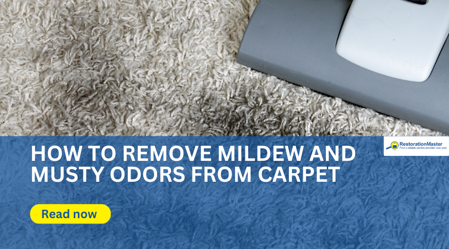 Mold and Mildew Removal from Carpet - RestorationMaster