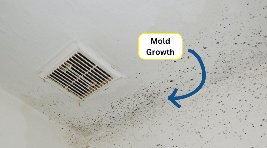 mold in air ducts - on the walls and ceiling