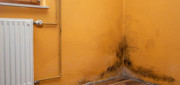 Mold-Affected-Areas