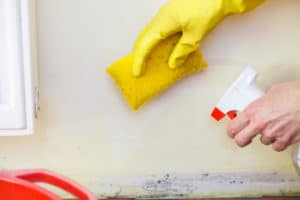 Mold-Remediation-Services