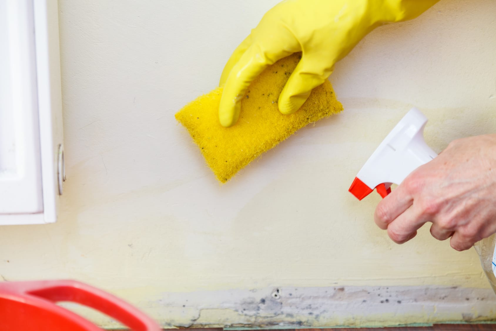 Mold Remediation Fort Lauderdale