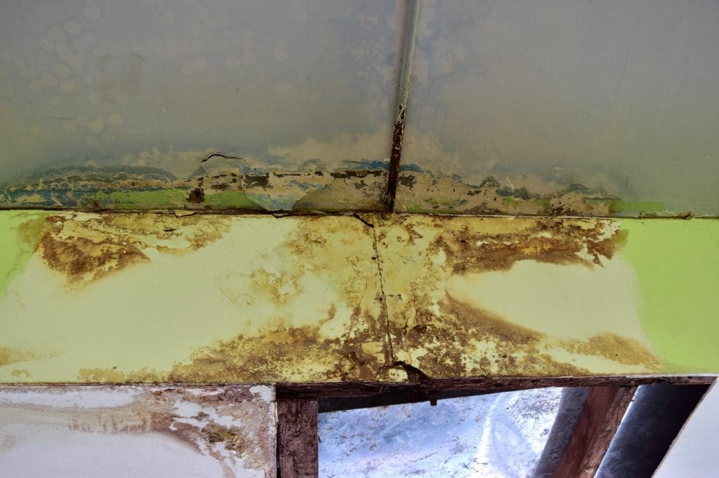 The LongTerm Effects of Mold Mold Damage RestorationMaster