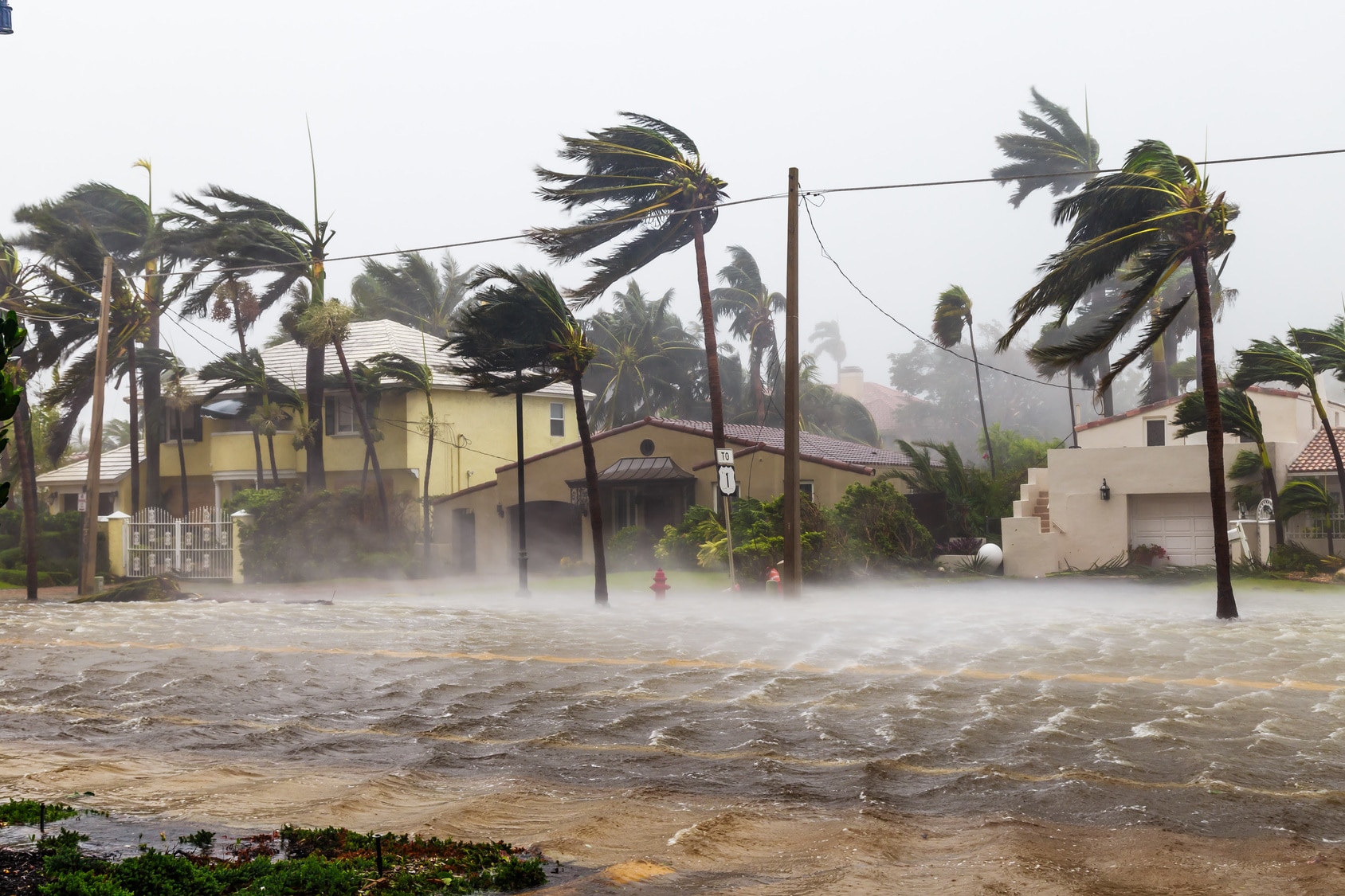 Hurricane Flood Damage