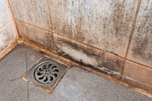 Mold-Growth-In-Bathroom-Moisture