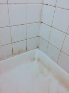 mold and mildew on bathroom shower walls