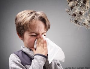 mold in the bathroom is bad for your health