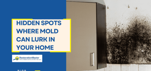 Hidden Spots Where Mold Can Lurk in Your Home