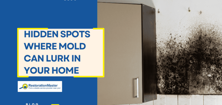 Hidden Spots Where Mold Can Lurk in Your Home