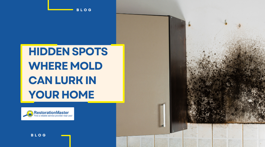 Hidden Spots Where Mold Can Lurk in Your Home