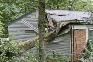 home reconstruction services in Charlotte, NC - tree fell on house