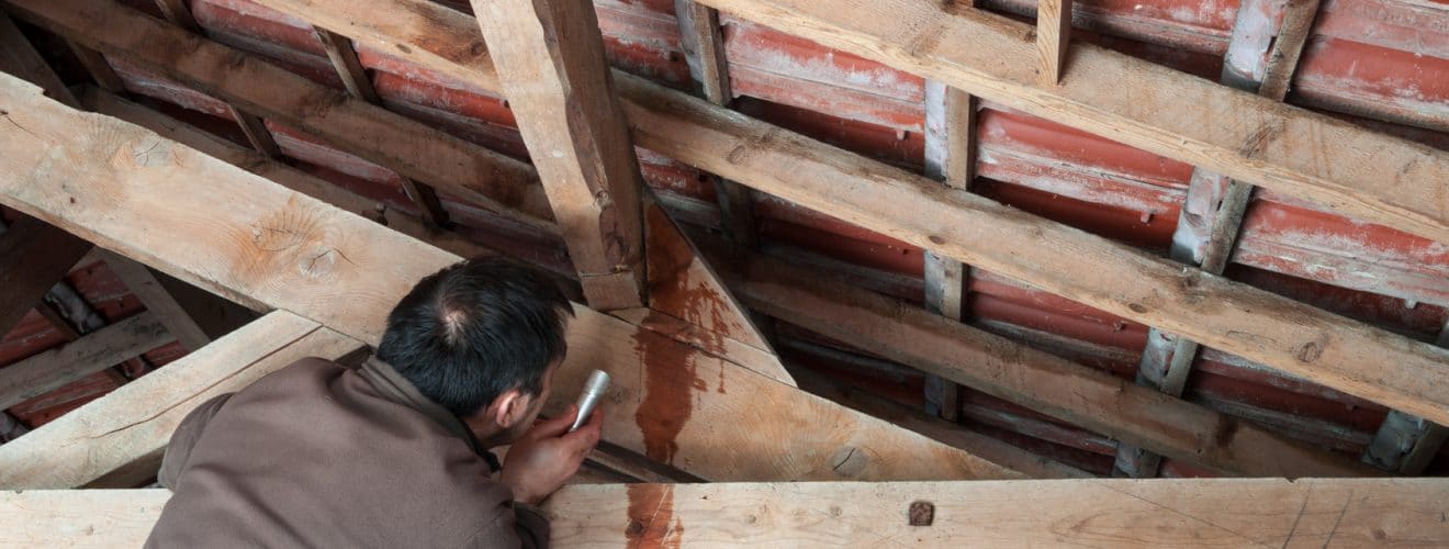 Top Causes of Mold in the Attic