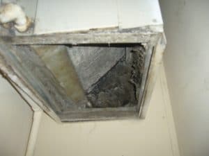 mold removal from HVAC