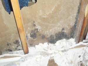 mold removal - mold damage inside a wall shows structural damage