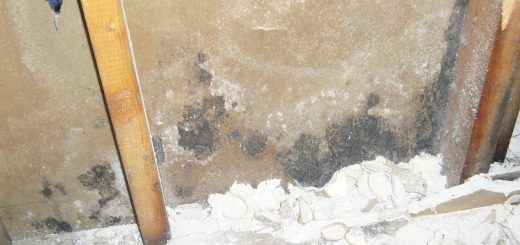 mold removal - mold damage inside a wall shows structural damage