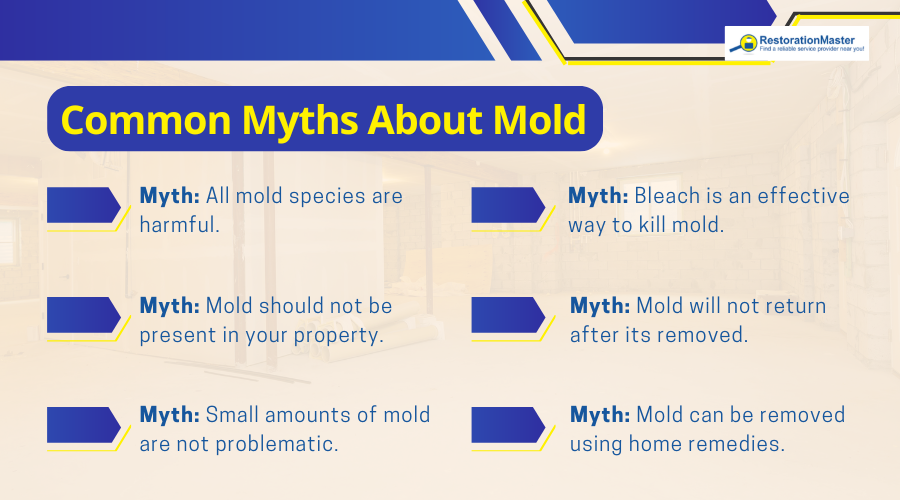 Common Myths About Mold