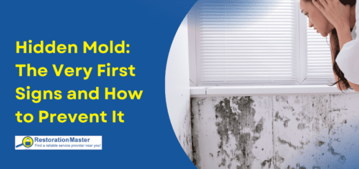 Hidden Mold The Very First Signs and How to Prevent It