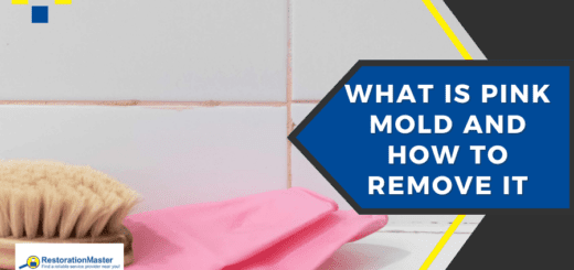 What is Pink Mold and How to Remove it - RMF