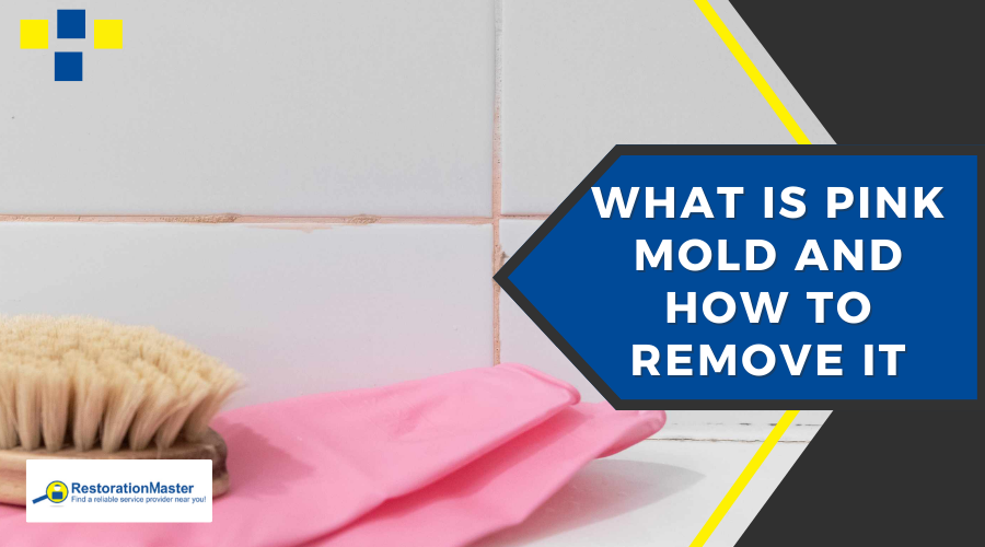 Pink Mold Removal and Remediation - RestorationMaster