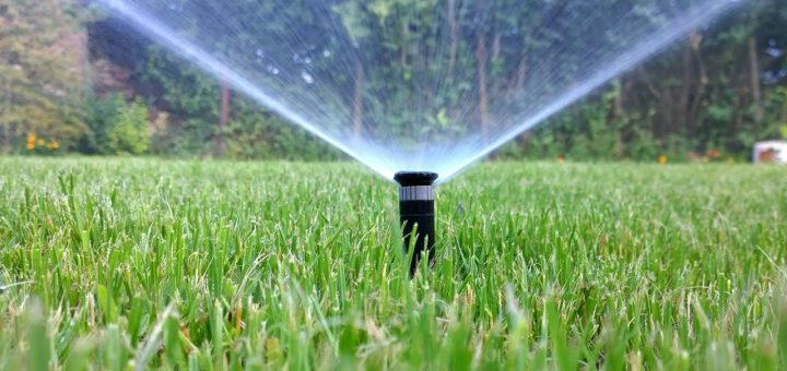 Daily-Grass-Irrigation