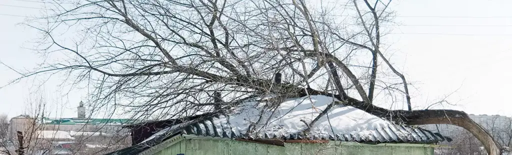 how to prepare for major storms