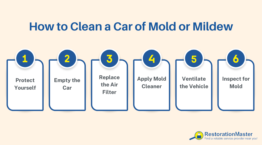 How to Clean a Car of Mold - Steps