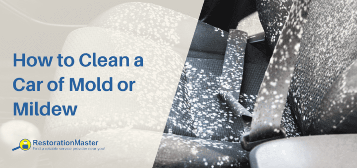 How to Clean a Car of Mold or Mildew