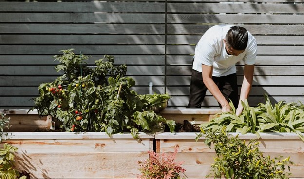 Man Growing Garden in Summer