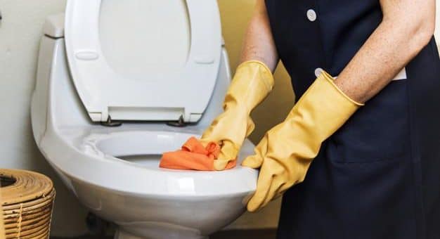 Tips on How to Prevent Toilet Issues