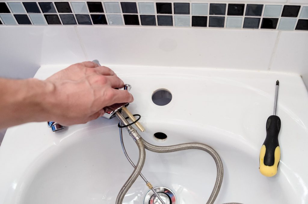 Mushroom situation in the bathroom sink : r/CleaningTips