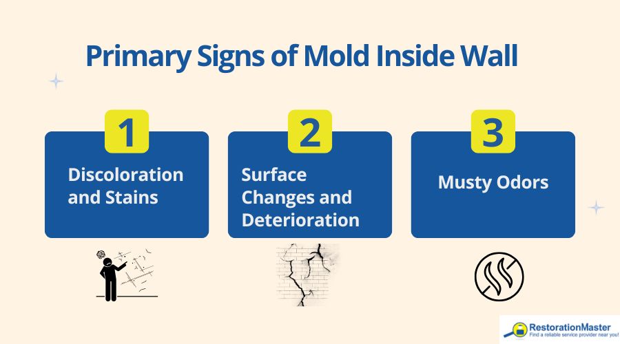 signs of mold inside walls