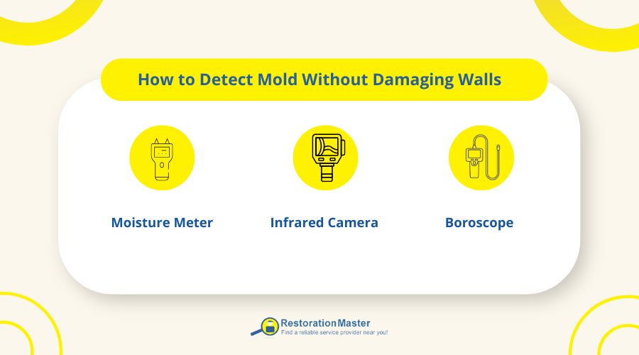 How to Detect Mold Without Damaging Walls