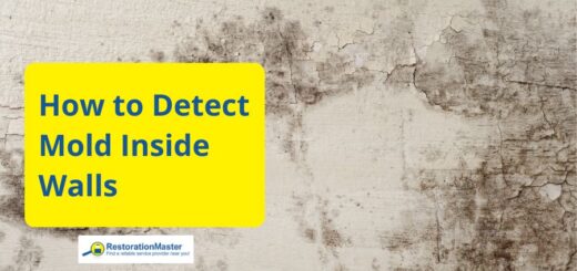 How to Detect Mold Inside Walls