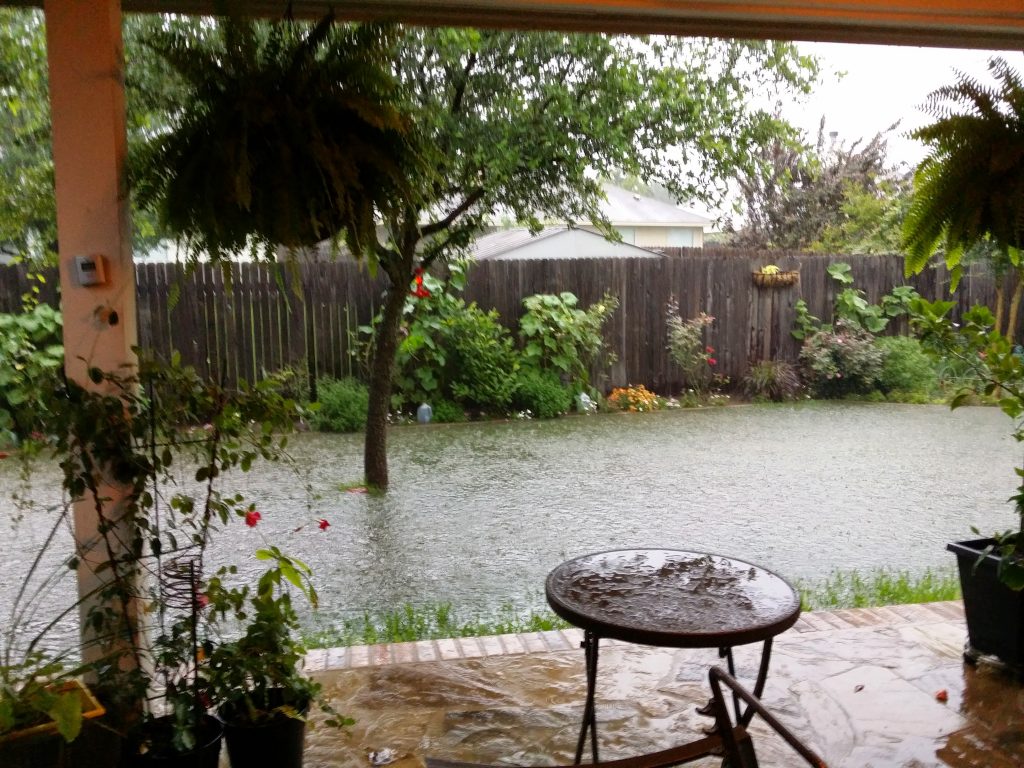 flooded garden