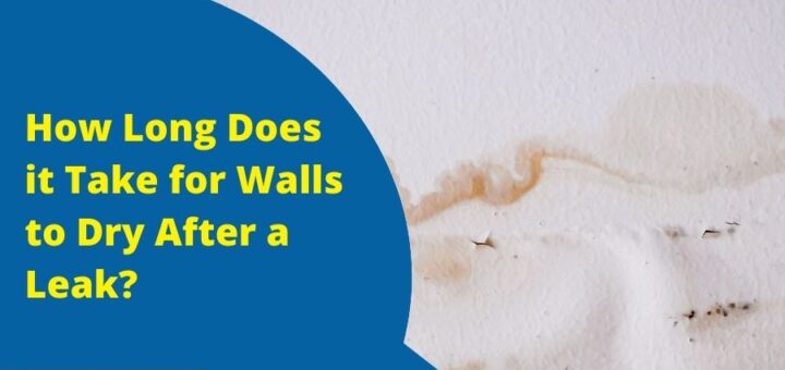 water damaged drywall