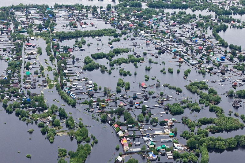 Shopping List for Cleaning Mold in Your Home After a Flood, Natural  Disasters & Severe Weather