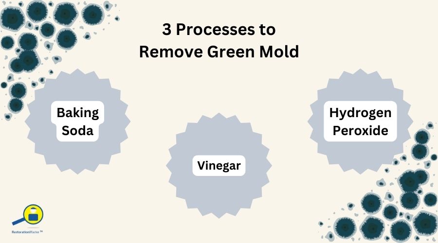 3 Processes to Remove Green Mold