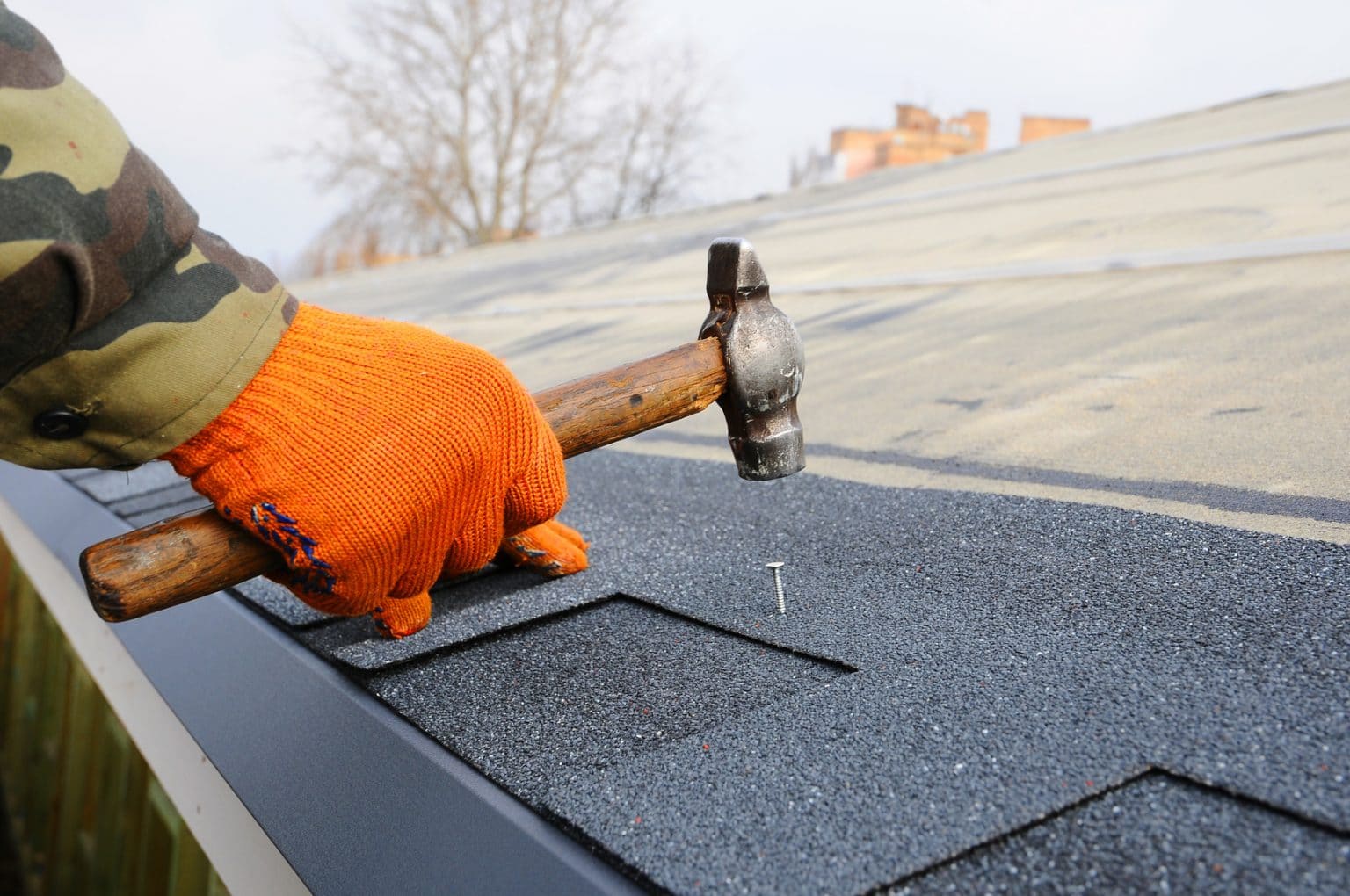 11 Interesting Facts You Didn't Know About Roofing