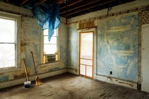 Toxic mold in the property