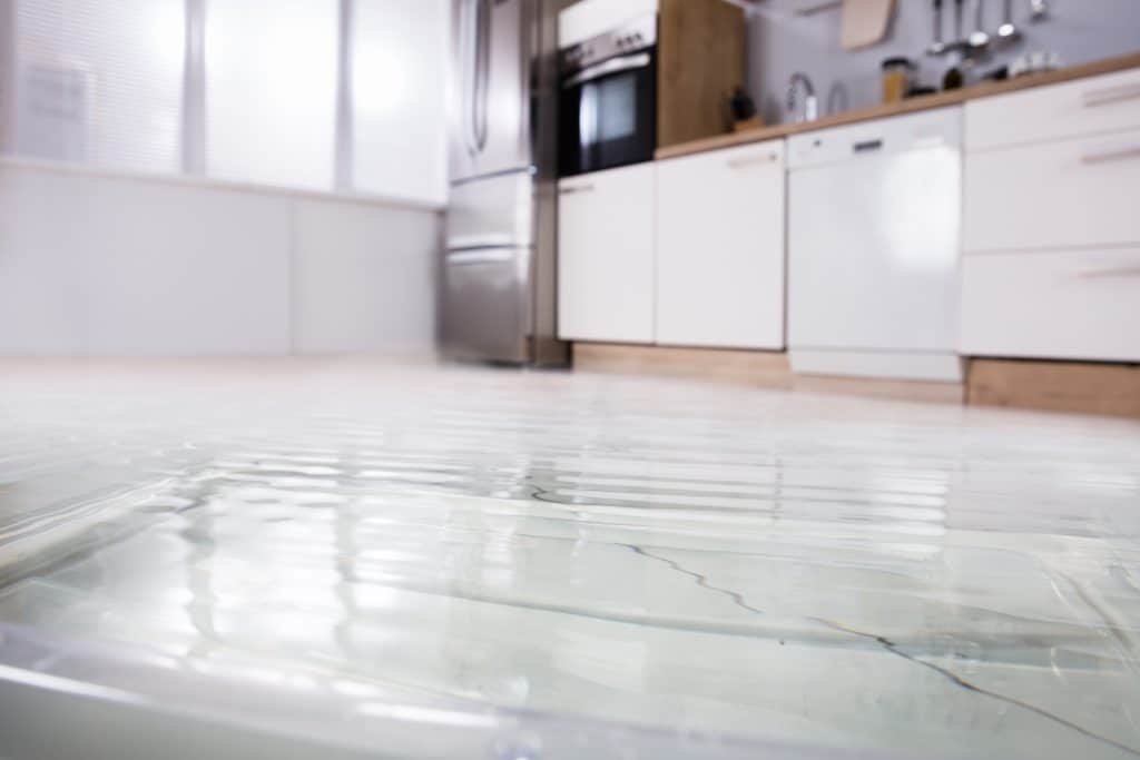 7 Basement Flooding Prevention Tips, Is Water Damage In Basement Covered By Insurance Uk