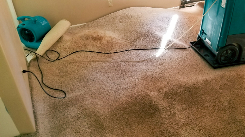 Drying-water-damaged-carpet-with-machine
