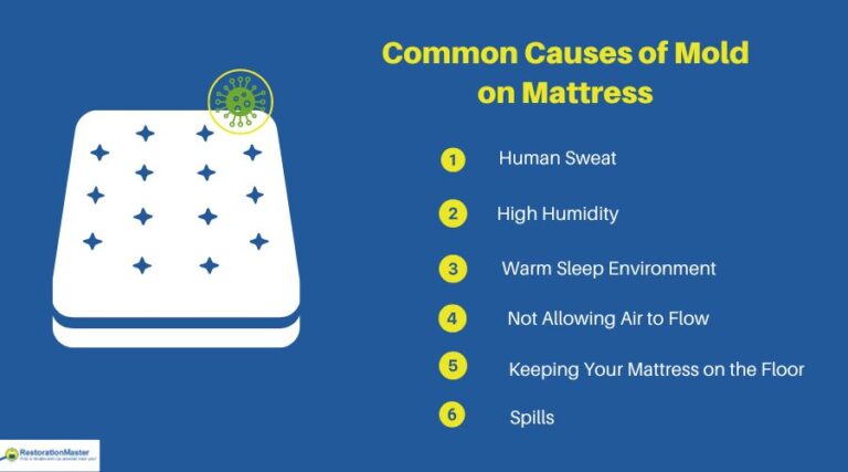 Mold on a Memory Foam Mattress: Clean It or Replace It?