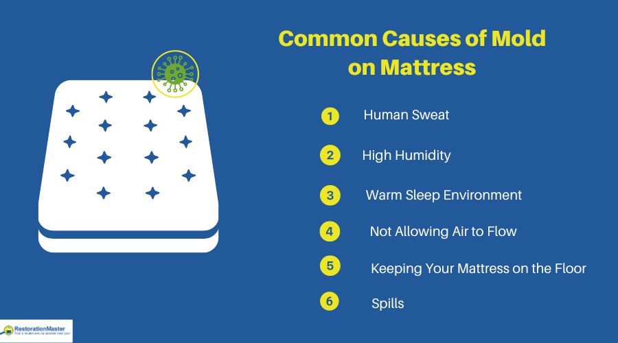 causes of mold on mattress