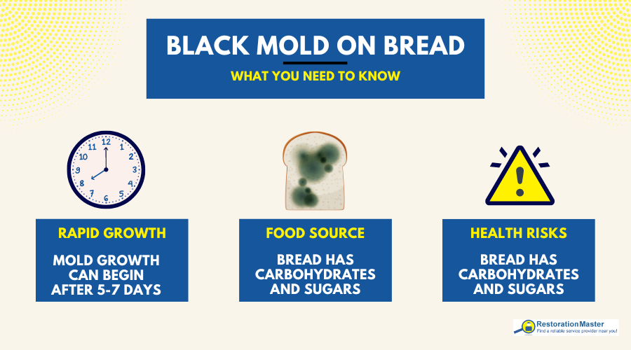 Black Mold Growth - RestorationMaster