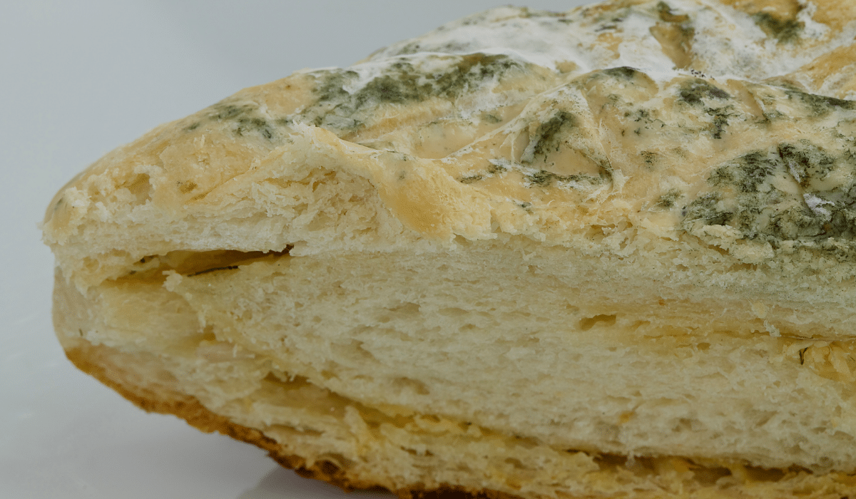 types of bread mold