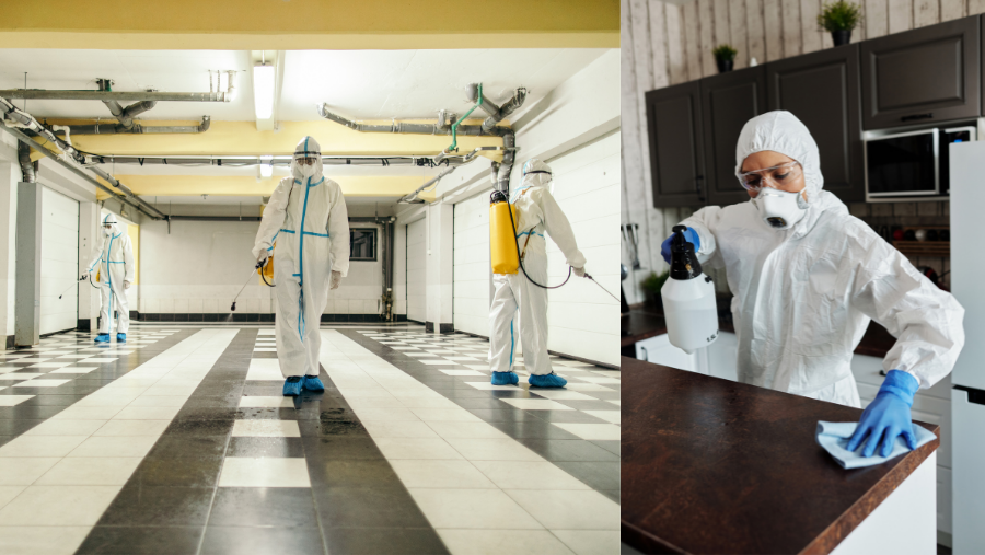 Professional Home Cleaning and Disinfecting